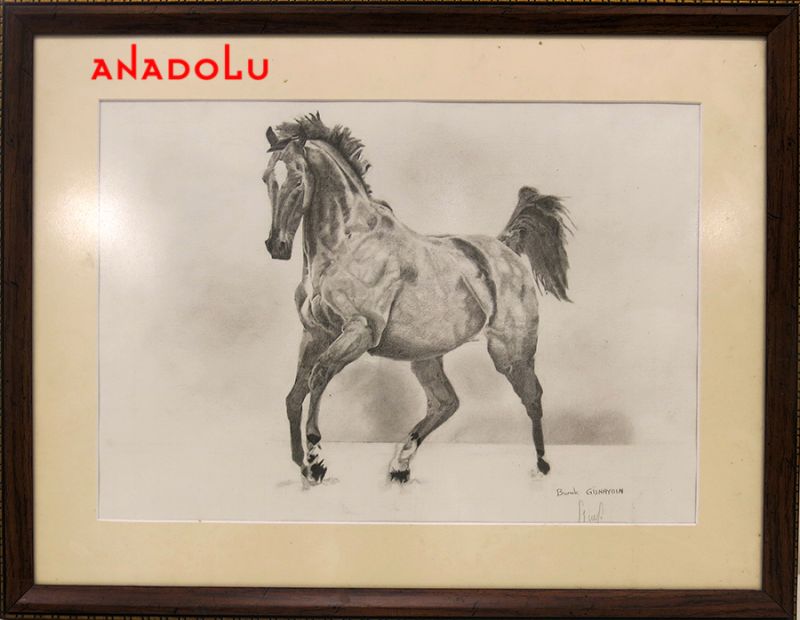 Karakalem At Resmi Çizin Kişiler Ankara