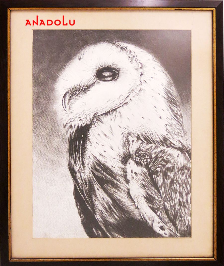 Hobi Resim Çalışmaları Ankara