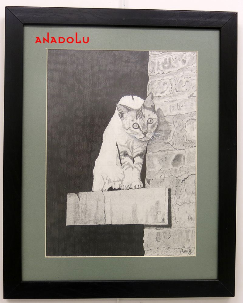 Anadolu Çizim Dersleri Ankara