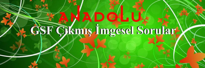 Güzel Sanatlar Sınavında Çıkmış İmgesel Konuları Ankara