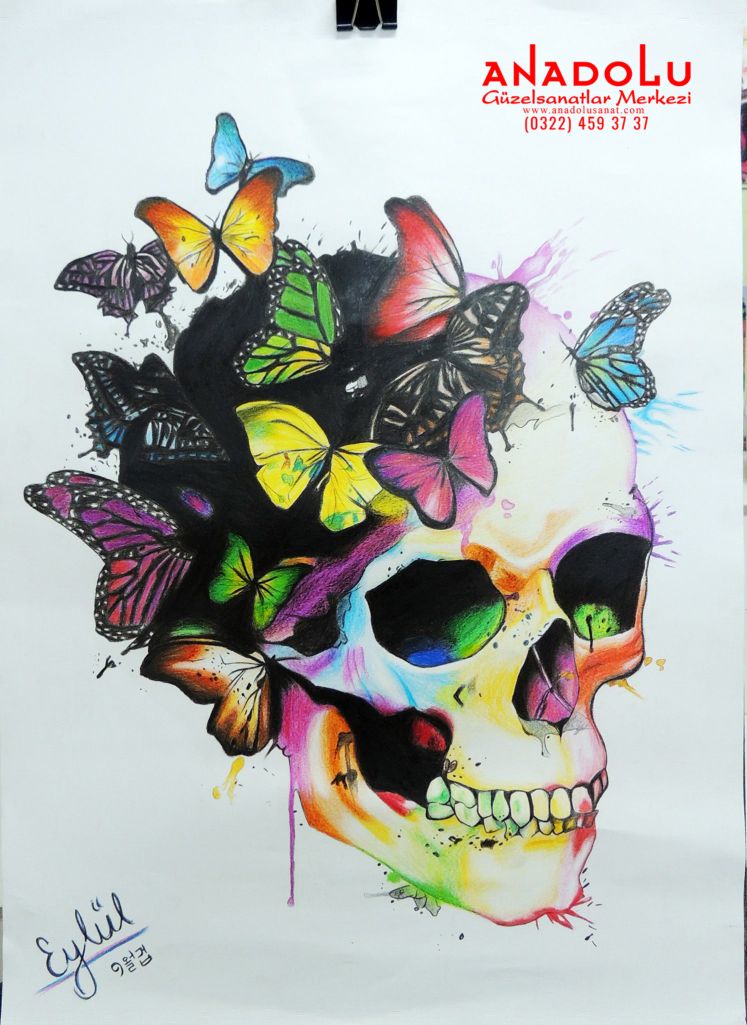 Kuru Boya Tekniği İle Yapılan Kuru Kafa Çizimleri Ankara