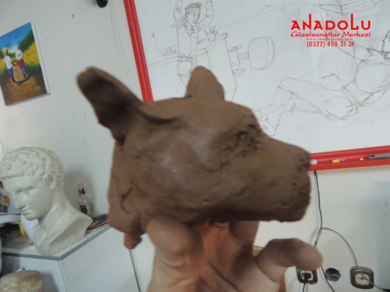 Kurt Başı Heykel Çizimleri Ankara